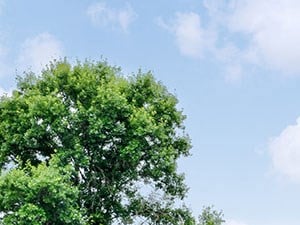 Site sign